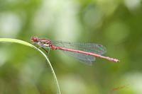 Cjp_2009_05_24_112150 (2).jpg